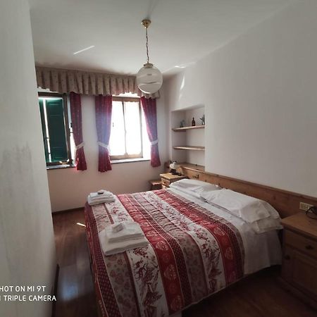 Lozzo Cadore La Favorita B&B 외부 사진