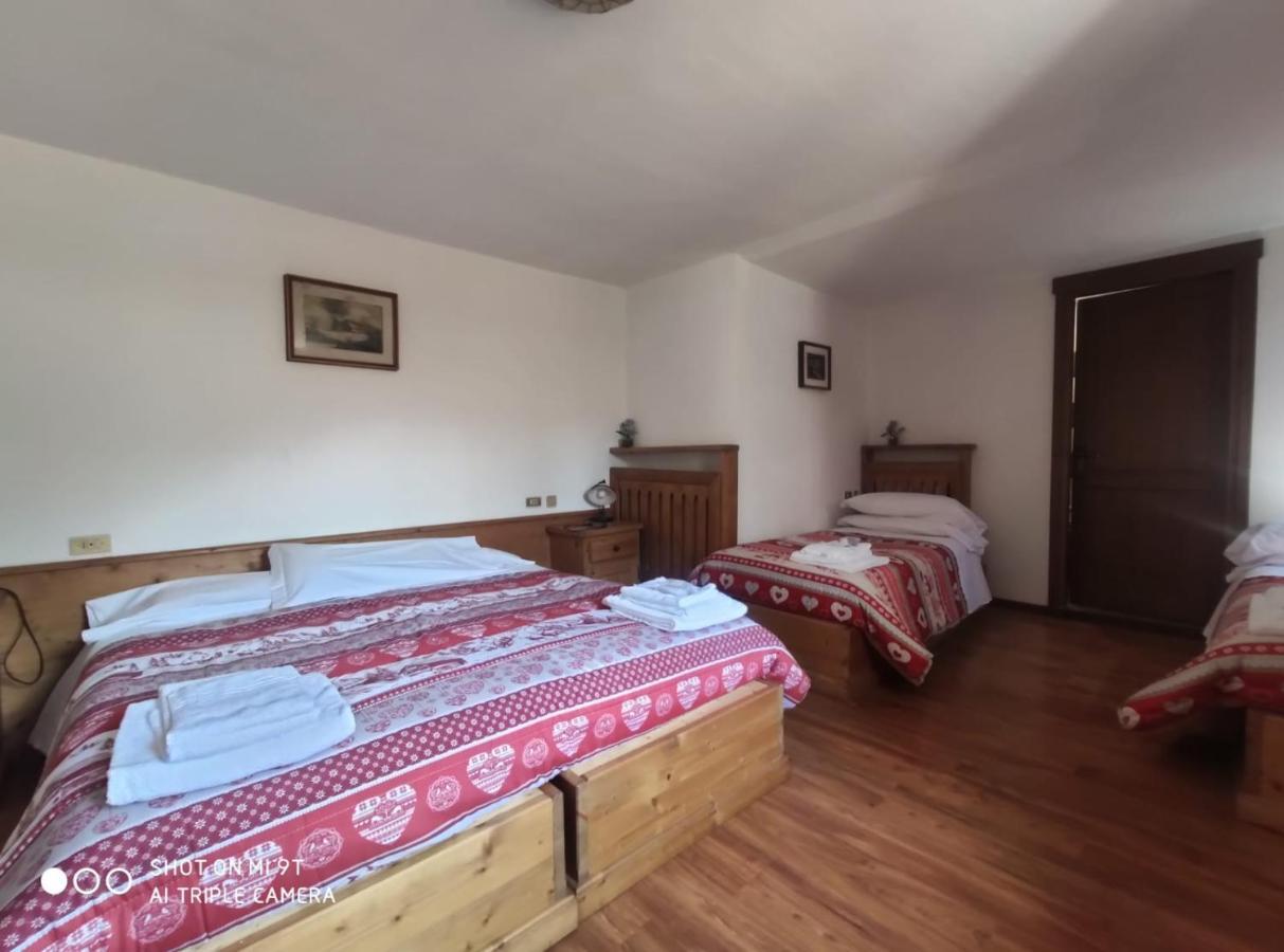 Lozzo Cadore La Favorita B&B 외부 사진