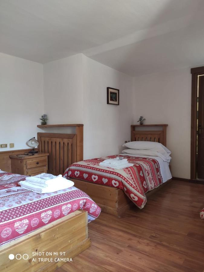 Lozzo Cadore La Favorita B&B 외부 사진