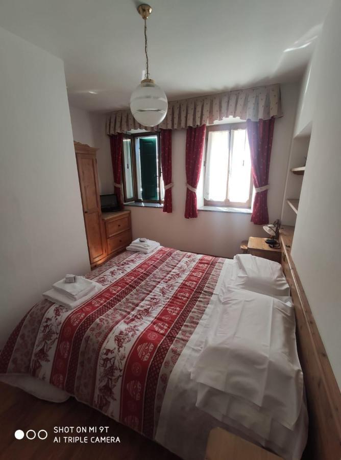 Lozzo Cadore La Favorita B&B 외부 사진
